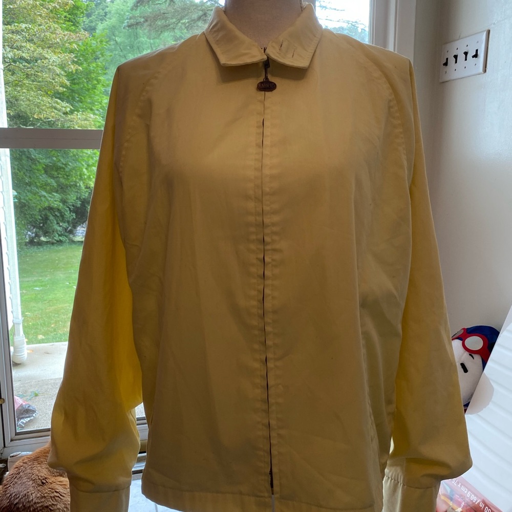 Yellow jacket - Picture 2 of 4